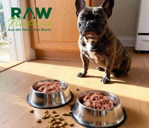 Hundefutter Online Shop – artgerechte Ernährung mit Lieferung" src