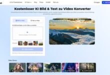Bild zu Video