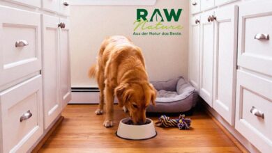 Natürliches Hunde nass Futter von RAW Nature online kaufen