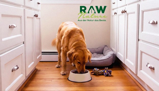 Natürliches Hunde nass Futter von RAW Nature online kaufen