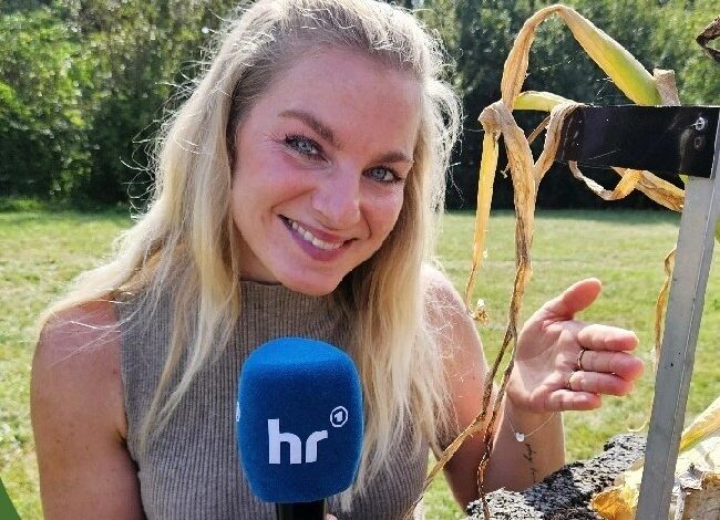 maike tschorn