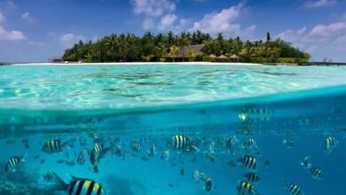 summer island maldives