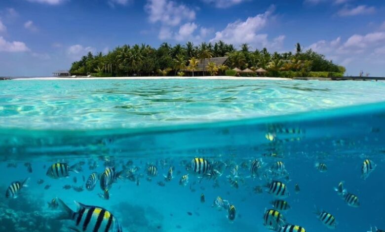 summer island maldives