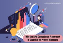 Projektmanager