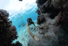 Fotografieren im Salzwasser
