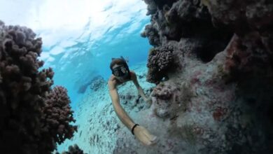 Fotografieren im Salzwasser