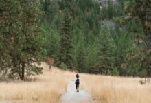 Wandern