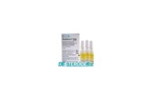 sustanon 250 Organon