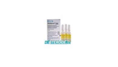 sustanon 250 Organon
