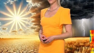 kathy schrey