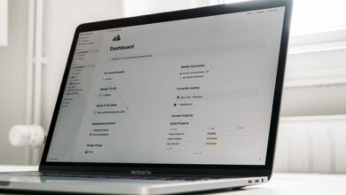 Safari