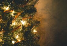 Weihnachtsbaum