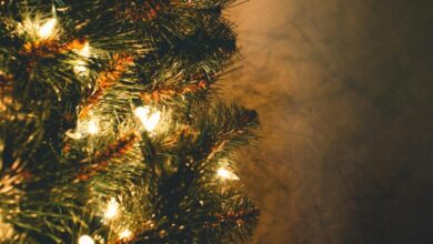 Weihnachtsbaum