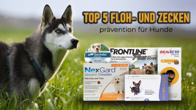 für Hunde