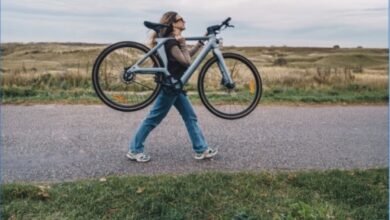Carbon E-Bike