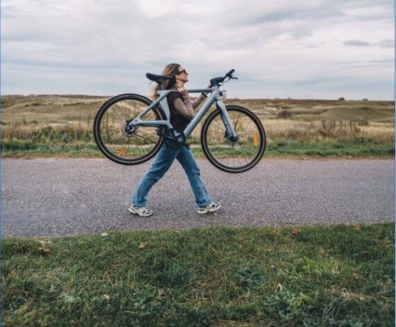 Carbon E-Bike