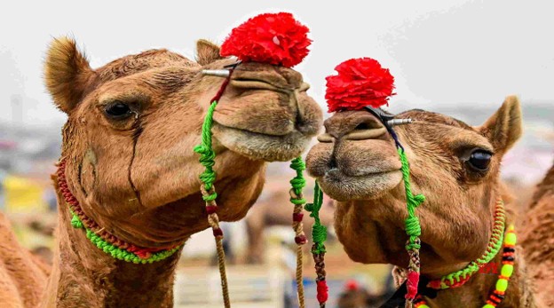 Rajasthan
